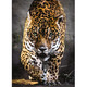 Sétáló jaguár HQC 1000db-os puzzle - Clementoni