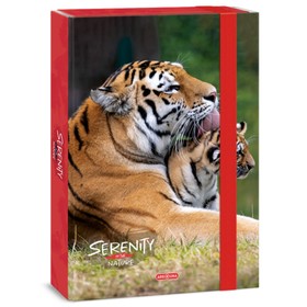 Ars Una: Serenity Tiger - tigrises A4-es füzetbox 4cm-es gerincvastagsággal