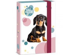 Ars Una: Cuki állatok - Tacskó kutyusos füzetbox A/5